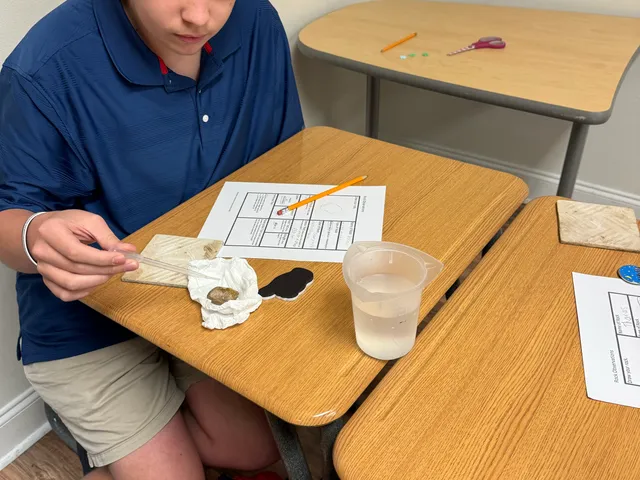 A student concentrating on a science experiment at his desk